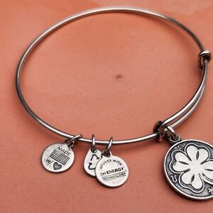 Alex & Ani silver lucky charm bracelet
